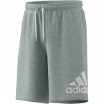 ADIDAS LOUNGEWEAR Must Haves Badge of Sport Shorts 